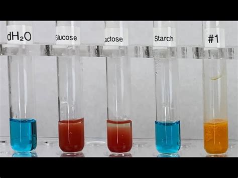 barfoed test for glucose|Qualitative Systematic Analysis of Carbohydrates (Glucose, .